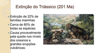 Extinção do Triássico (201 Ma)
 Extinção de 22% de
famílias marinhas
 Cerca de 80% de
todas as espécies
 Causa provavelmente
pela queda nos níveis
dos oceanos e
grandes erupções
vulcânicas.
 