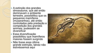  A extinção dos grandes
dinossauros, que até então
dominavam o ambiente
terrestre, possibilitou que os
pequenos mamíferos
(musaranhos), até então
controlados pela predação e
competição dos grandes
animais, pudessem se
diversificar
 Essa diversificação
possibilitou que mamíferos
maiores fossem surgindo
 Não fosse essa última
grande extinção, talvez não
estivéssemos aqui
 