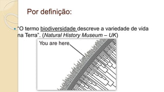 Por definição:
 “O termo biodiversidade descreve a variedade de vida
na Terra”. (Natural History Museum – UK)
 