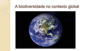 A biodiversidade no contexto global
 
