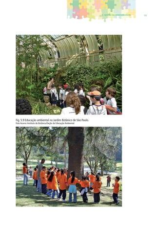 5. GESTÃO DA BIODIVERSIDADE 99 
Fig. 5.9 Educação ambiental no Jardim Botânico de São Paulo. 
Foto Acervo Instituto de Botânica/Seção de Educação Ambiental 
 