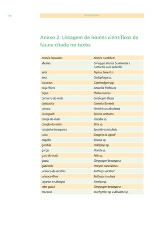 108 BIODIVERSIDADE 
Anexo 2. Listagem de nomes científi cos da 
fauna citada no texto. 
Nomes Populares Nomes Científi cos 
abutres Coragyps atratus brasiliensis e 
Cathartes aura rufi collis 
anta Tapirus terrestris 
anus Crotophaga sp. 
bacuraus Caprimulgus spp. 
beija-fl ores Amazilia frinbriata 
biguá Phalacrocorax 
cachorro-do-mato Cerdocyon thous 
cambacica Coereba fl aveola 
catraca Hemitriccus obsoletus 
caxinguelê Sciurus aestuans 
coruja-do-mato Ciccaba sp. 
corujão-da-mata Strix sp. 
corujinha-buraqueira Spyotito cunicularia 
cutia Dasyprocta agouti 
esquilos Sciurus sp. 
gambás Didelphys sp. 
garças Florida sp. 
gato-do-mato Felis sp. 
guará Chrysocyon brachyurus 
guaxinim Procyon cancrivorus 
jararaca-de-alcatraz Bothrops alcatraz 
jararaca-ilhoa Bothrops insularis 
lagartos e calangos Ameiva sp. 
lobo-guará Chrysocyon brachyurus 
macacos Brachyteles sp. e Alouatta sp. 
 