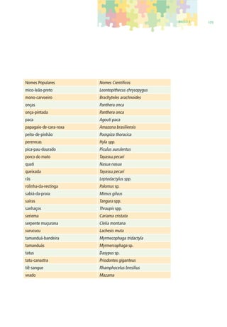 ANEXO 2 109 
Nomes Populares Nomes Científi cos 
mico-leão-preto Leontopithecus chrysopygus 
mono-carvoeiro Brachyteles arachnoides 
onças Panthera onca 
onça-pintada Panthera onca 
paca Agouti paca 
papagaio-de-cara-roxa Amazona brasiliensis 
peito-de-pinhão Poospiza thoracica 
pererecas Hyla spp. 
pica-pau-dourado Piculus aurulentus 
porco do mato Tayassu pecari 
quati Nasua nasua 
queixada Tayassu pecari 
rãs Leptodactylus spp. 
rolinha-da-restinga Palomus sp. 
sabiá-da-praia Mimus gilvus 
saíras Tangara spp. 
sanhaços Thraupis spp. 
seriema Cariama cristata 
serpente muçurana Clelia montana 
surucucu Lachesis muta 
tamanduá-bandeira Myrmecophaga tridactyla 
tamanduás Myrmercophaga sp. 
tatus Dasypus sp. 
tatu-canastra Priodontes giganteus 
tiê-sangue Rhamphocelus bresilius 
veado Mazama 
 
