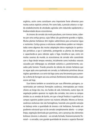 44 BIODIVERSIDADE 
orgânica, assim como constituem uma importante fonte alimentar para 
muitas outras espécies animais. Por outro lado, a pressão urbana e o rápi-do 
estabelecimento de atividades agrícolas vêm reduzindo rapidamente a 
biodiversidade desses ecossistemas. 
As árvores do cerrado são muito peculiares, com troncos tortos, cober-tos 
por uma cortiça grossa, cujas folhas são geralmente grandes e rígidas. 
Muitas plantas herbáceas têm órgãos subterrâneos para armazenar água 
e nutrientes. Cortiça grossa e estruturas subterrâneas podem ser interpre-tadas 
como algumas das muitas adaptações dessa vegetação às queima-das 
periódicas a que é submetida, protegendo as plantas da destruição 
e capacitando-as para rebrotar após o fogo. Acredita-se que, como em 
muitas savanas do mundo, os ecossistemas de cerrado vêm coexistindo 
com o fogo desde tempos remotos, inicialmente como incêndios naturais 
causados por relâmpagos ou atividade vulcânica e, posteriormente, cau-sados 
pelo homem. Tirando proveito da rebrota do estrato herbáceo que 
se segue após uma queimada em cerrado, os habitantes primitivos dessas 
regiões aprenderam a se servir do fogo como uma ferramenta para aumen-tar 
a oferta de forragem aos seus animais (herbívoros) domesticados, o que 
ocorre até hoje. 
Esse bioma também se caracteriza por suas diferentes paisagens, ca-racterizadas 
por extensas formações savânicas, interceptadas por matas 
ciliares ao longo dos rios, nos fundos de vale. Entretanto, outros tipos de 
vegetação podem aparecer na região dos cerrados, tais como os campos 
úmidos ou as veredas de buritis, em que o lençol freático é superfi cial; os 
campos rupestres podem ocorrer nas maiores altitudes. Mesmo as formas 
savânicas exclusivas não são homogêneas, havendo uma grande variação 
no balanço entre a quantidade de árvores e de herbáceas, formando um 
gradiente estrutural que vai do cerrado completamente aberto – o campo 
limpo, vegetação dominada por gramíneas, sem a presença dos elementos 
lenhosos (árvores e arbustos) – ao cerrado fechado, fi sionomicamente fl o-restal 
– o cerradão, com grande quantidade de árvores e aspecto fl orestal 
 