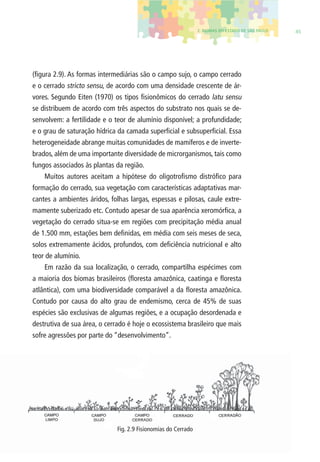2. BIOMAS DO ESTADO DE SÃO PAULO 45 
(fi gura 2.9). As formas intermediárias são o campo sujo, o campo cerrado 
e o cerrado stricto sensu, de acordo com uma densidade crescente de ár-vores. 
Segundo Eiten (1970) os tipos fi sionômicos do cerrado latu sensu 
se distribuem de acordo com três aspectos do substrato nos quais se de-senvolvem: 
a fertilidade e o teor de alumínio disponível; a profundidade; 
e o grau de saturação hídrica da camada superfi cial e subsuperfi cial. Essa 
heterogeneidade abrange muitas comunidades de mamíferos e de inverte-brados, 
além de uma importante diversidade de microrganismos, tais como 
fungos associados às plantas da região. 
Muitos autores aceitam a hipótese do oligotrofi smo distrófi co para 
formação do cerrado, sua vegetação com características adaptativas mar-cantes 
a ambientes áridos, folhas largas, espessas e pilosas, caule extre-mamente 
suberizado etc. Contudo apesar de sua aparência xeromórfi ca, a 
vegetação do cerrado situa-se em regiões com precipitação média anual 
de 1.500 mm, estações bem defi nidas, em média com seis meses de seca, 
solos extremamente ácidos, profundos, com defi ciência nutricional e alto 
teor de alumínio. 
Em razão da sua localização, o cerrado, compartilha espécimes com 
a maioria dos biomas brasileiros (fl oresta amazônica, caatinga e fl oresta 
atlântica), com uma biodiversidade comparável a da fl oresta amazônica. 
Contudo por causa do alto grau de endemismo, cerca de 45% de suas 
espécies são exclusivas de algumas regiões, e a ocupação desordenada e 
destrutiva de sua área, o cerrado é hoje o ecossistema brasileiro que mais 
sofre agressões por parte do “desenvolvimento”. 
Fig. 2.9 Fisionomias do Cerrado 
 