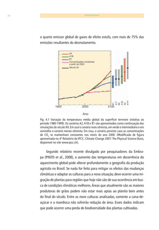 74 BIODIVERSIDADE 
o quarto emissor global de gases de efeito estufa, com mais de 75% das 
emissões resultantes do desmatamento. 
Fig. 4.1 Variação da temperatura média global da superfície terrestre (relativa ao 
período 1980-1999). Os cenários A2, A1B e B1 são apresentados como continuação das 
simulações do século XX. Em azul o cenário mais otimista, em verde o intermediário e em 
vermelho o cenário menos otimista. Em rosa, o cenário previsto caso as concentrações 
de CO2 se mantenham constantes nos níveis do ano 2000. (Modifi cada de fi gura 
apresentada no 4º Relatório do IPCC, Climate Change 2007: The Physical Science Basis, 
disponível no site www.ipcc.ch). 
Segundo relatório recente divulgado por pesquisadores da Embra-pa 
(PINTO et al., 2008), o aumento das temperaturas em decorrência do 
aquecimento global pode alterar profundamente a geografi a da produção 
agrícola no Brasil. Se nada for feito para mitigar os efeitos das mudanças 
climáticas e adaptar as culturas para a nova situação, deve ocorrer uma mi-gração 
de plantas para regiões que hoje não são de sua ocorrência em bus-ca 
de condições climáticas melhores. Áreas que atualmente são as maiores 
produtoras de grãos podem não estar mais aptas ao plantio bem antes 
do fi nal do século. Entre as nove culturas analisadas, somente a cana-de-açúcar 
e a mandioca não sofrerão redução de área. Esses dados indicam 
que pode ocorrer uma perda de biodiversidade das plantas cultivadas. 
 