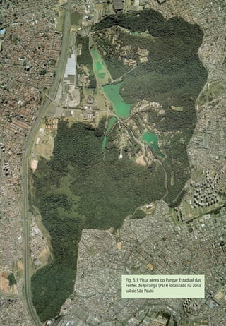 86 BIODIVERSIDADE 
Fig. 5.1 Vista aérea do Parque Estadual das 
Fontes do Ipiranga (PEFI) localizado na zona 
sul de São Paulo 
 