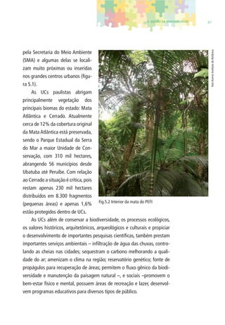 5. GESTÃO DA BIODIVERSIDADE 87 
pela Secretaria do Meio Ambiente 
(SMA) e algumas delas se locali-zam 
muito próximas ou inseridas 
nos grandes centros urbanos (fi gu-ra 
5.1). 
As UCs paulistas abrigam 
principalmente vegetação dos 
principais biomas do estado: Mata 
Atlântica e Cerrado. Atualmente 
cerca de 12% da cobertura original 
da Mata Atlântica está preservada, 
sendo o Parque Estadual da Serra 
do Mar a maior Unidade de Con-servação, 
com 310 mil hectares, 
abrangendo 56 municípios desde 
Ubatuba até Peruíbe. Com relação 
ao Cerrado a situação é crítica, pois 
restam apenas 230 mil hectares 
distribuídos em 8.300 fragmentos 
(pequenas áreas) e apenas 1,6% 
estão protegidos dentro de UCs. 
Fig.5.2 Interior da mata do PEFI 
As UCs além de conservar a biodiversidade, os processos ecológicos, 
os valores históricos, arquitetônicos, arqueológicos e culturais e propiciar 
o desenvolvimento de importantes pesquisas científi cas, também prestam 
importantes serviços ambientais – infi ltração de água das chuvas, contro-lando 
as cheias nas cidades; sequestram o carbono melhorando a quali-dade 
do ar; amenizam o clima na região; reservatório genético; fonte de 
propágulos para recuperação de áreas; permitem o fl uxo gênico da biodi-versidade 
e manutenção da paisagem natural –, e sociais –promovem o 
bem-estar físico e mental, possuem áreas de recreação e lazer, desenvol-vem 
programas educativos para diversos tipos de público. 
foto Acervo Instituto de Botânica 
 