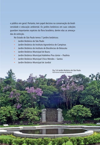 91 
e público em geral. Portanto, tem papel decisivo na conservação da biodi-versidade 
e educação ambiental. Os jardins botânicos em suas coleções 
guardam importantes espécies da fl ora brasileira, dentre elas as ameaça-das 
de extinção. 
No Estado de São Paulo temos 7 jardins botânicos: 
• Jardim Botânico de São Paulo 
• Jardim Botânico do Instituto Agronômico de Campinas 
• Jardim Botânico do Instituto de Biociências de Botucatu 
• Jardim Botânico Municipal de Bauru 
• Jardim Botânico Municipal Adelelmo Piva Júnior – Paulínia 
• Jardim Botânico Municipal Chico Mendes – Santos 
• Jardim Botânico Municipal de Jundiaí 
Fig. 5.6 Jardim Botânico de São Paulo. 
Foto Acervo Instituto de Botânica 
 
