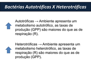 Bactérias Autotróficas X Heterotróficas
Autotróficas → Ambiente apresenta um
metabolismo autotrófico, as taxas de
produção (GPP) são maiores do que as de
respiração (R).
Heterotróficas → Ambiente apresenta um
metabolismo heterotrófico, as taxas de
respiração (R) são maiores do que as de
produção (GPP).
 