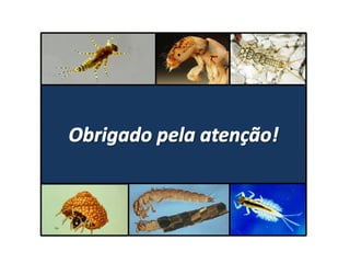 Biodiversidade aquática