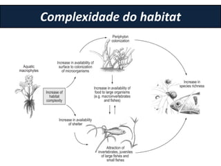 Complexidade do habitat
 