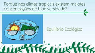Porque nos climas tropicais existem maiores
concentrações de biodiversidade?
Equilíbrio Ecológico
10
 