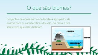 O que são biomas?
Conjuntos de ecossistemas da biosfera agrupados de
acordo com as características do solo, do clima e dos
seres vivos que neles habitam.
12
 