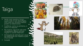 Taiga
• Verão mais quente e longo,
quase todo o solo descongela,
com mais luz, árvores maiores
podem se desenvolver.
• Coníferas, como os pinheiros, o
cedro e a sequoia.
• No inverno, água do solo está
congelada e alguns animais
migram e outros hibernam.
• Ameaçada de extinção por causa
do exploração de madeira e pela
chuva ácida.
• Canadá
14
 