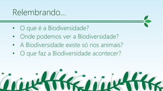 Relembrando…
• O que é a Biodiversidade?
• Onde podemos ver a Biodiversidade?
• A Biodiversidade existe só nos animais?
• O que faz a Biodiversidade acontecer?
2
 