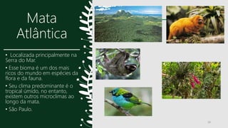 Mata
Atlântica
• Localizada principalmente na
Serra do Mar.
• Esse bioma é um dos mais
ricos do mundo em espécies da
flora e da fauna.
• Seu clima predominante é o
tropical úmido, no entanto,
existem outros microclimas ao
longo da mata.
• São Paulo.
20
 