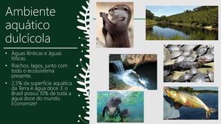 Ambiente
aquático
dulcícola
• Águas lênticas e águas
lóticas.
• Riachos, lagos, junto com
todo o ecossistema
presente.
• 2,5% da superfície aquática
da Terra é água doce. E o
Brasil possui 10% de toda a
água doce do mundo.
Economize!
22
 