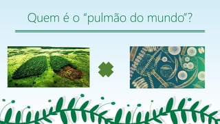 Quem é o “pulmão do mundo”?
23
 
