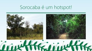 Sorocaba é um hotspot!
28
 