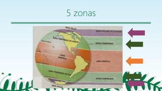 5 zonas
6
 