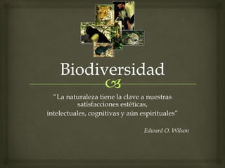 “La naturaleza tiene la clave a nuestras
satisfacciones estéticas,
intelectuales, cognitivas y aún espirituales”
Edward O. Wilson
 