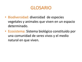 GLOSARIO
• Biodiversidad: diversidad de especies
vegetales y animales que viven en un espacio
determinado.
• Ecosistema: Sistema biológico constituido por
una comunidad de seres vivos y el medio
natural en que viven.
 