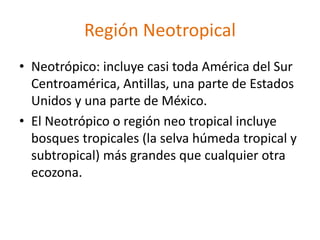 Región Neotropical
• Neotrópico: incluye casi toda América del Sur
Centroamérica, Antillas, una parte de Estados
Unidos y una parte de México.
• El Neotrópico o región neo tropical incluye
bosques tropicales (la selva húmeda tropical y
subtropical) más grandes que cualquier otra
ecozona.
 