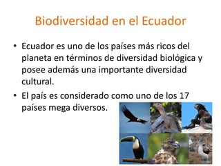 Biodiversidad en el Ecuador
• Ecuador es uno de los países más ricos del
planeta en términos de diversidad biológica y
posee además una importante diversidad
cultural.
• El país es considerado como uno de los 17
países mega diversos.
 