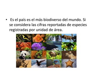 • Es el país es el más biodiverso del mundo. Si
se considera las cifras reportadas de especies
registradas por unidad de área.
 