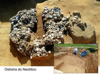 Ostreira do Neolítico
 