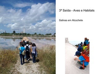 3ª Saída - Aves e Habitats


Salinas em Alcochete
 