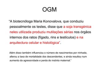 OGM
“A biotecnóloga Maria Konovalova, que conduziu
pessoalmente os testes, disse que a soja transgénica
neles utilizada produziu mutilações sérias nos órgãos
internos dos ratos (fígado, rins e testículos) e na
arquitectura celular e histológica”.

Além disso também influenciou o número de nascimentos por ninhada,
alterou a taxa de mortalidade dos descendentes, e ainda resultou num
aumento da agressividade e perda do instinto maternal.”
 