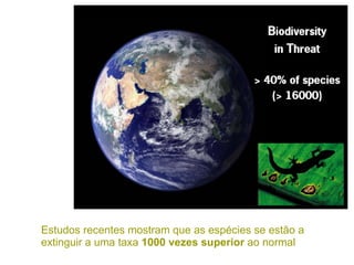 Estudos recentes mostram que as espécies se estão a
extinguir a uma taxa 1000 vezes superior ao normal
 