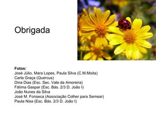 Obrigada



Fotos:
José Júlio, Mara Lopes, Paula Silva (C.M.Moita)
Carla Graça (Quercus)
Dina Dias (Esc. Sec. Vale da Amoreira)
Fátima Gaspar (Esc. Bás. 2/3 D. João I)
João Nunes da Silva
José M. Fonseca (Associação Colher para Semear)
Paula Nisa (Esc. Bás. 2/3 D. João I)
 