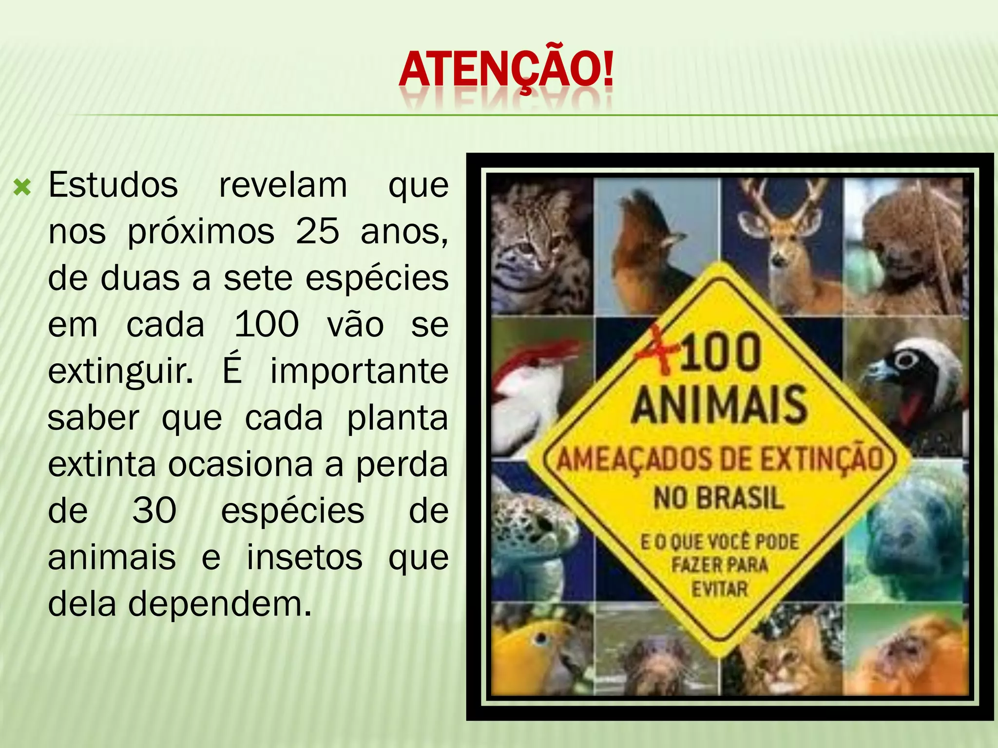 ATENÇÃO!

   Estudos revelam que
    nos próximos 25 anos,
    de duas a sete espécies
    em cada 100 vão se
    extinguir. É importante
    saber que cada planta
    extinta ocasiona a perda
    de 30 espécies de
    animais e insetos que
    dela dependem.
 