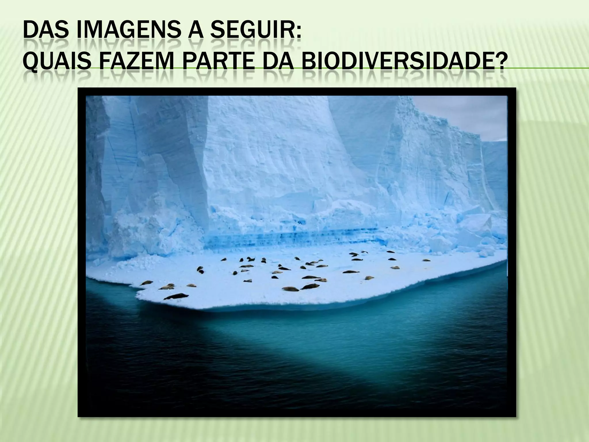 DAS IMAGENS A SEGUIR:
QUAIS FAZEM PARTE DA BIODIVERSIDADE?
 