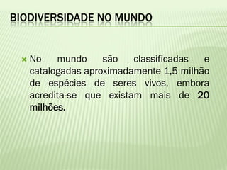 BIODIVERSIDADE NO MUNDO


    No    mundo     são   classificadas  e
     catalogadas aproximadamente 1,5 milhão
     de espécies de seres vivos, embora
     acredita-se que existam mais de 20
     milhões.
 