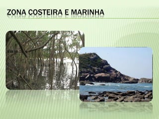 ZONA COSTEIRA E MARINHA
 