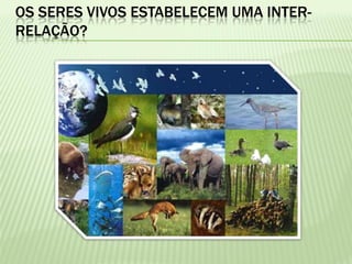 OS SERES VIVOS ESTABELECEM UMA INTER-
RELAÇÃO?
 