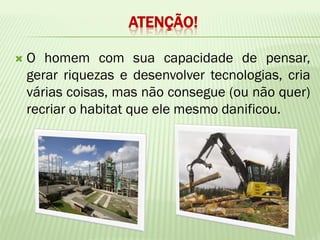 ATENÇÃO!

   O homem com sua capacidade de pensar,
    gerar riquezas e desenvolver tecnologias, cria
    várias coisas, mas não consegue (ou não quer)
    recriar o habitat que ele mesmo danificou.
 