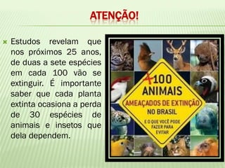 ATENÇÃO!

   Estudos revelam que
    nos próximos 25 anos,
    de duas a sete espécies
    em cada 100 vão se
    extinguir. É importante
    saber que cada planta
    extinta ocasiona a perda
    de 30 espécies de
    animais e insetos que
    dela dependem.
 