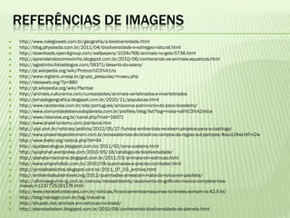 REFERÊNCIAS DE IMAGENS
   http://www.colegioweb.com.br/geografia/a-biodiversidade.html
   http://blog.physissda.com.br/2011/04/biodiversidade-e-esfregao-natural.html
   http://downloads.open4group.com/wallpapers/1024x768/animais-no-gelo-5736.html
   http://aprendendocomovoinho.blogspot.com.br/2010/06/conhecendo-os-animais-aquaticos.html
   http://agostinho.fotosblogue.com/58371/deserto-do-saara/
   http://pt.wikipedia.org/wiki/Protozo%C3%A1rio
   http://www.registro.unesp.br/grupo_pesquisa/museu.php
   http://ideiaweb.org/?p=880
   http://pt.wikipedia.org/wiki/Plantae
   http://animais.culturamix.com/curiosidades/animais-vertebrados-e-invertebrados
   http://jornadageografica.blogspot.com.br/2010/11/populacao.html
   http://www.raizdavida.com.br/site/portugues/amazonia-patrimonio-do-povo-brasileiro/
   http://www.comunidadebancodoplaneta.com.br/profiles/blog/list?tag=mata+atl%C3%A2ntica
   http://www.riosvivos.org.br/canal.php?mat=16971
   http://www.brasil-turismo.com/pantanal.htm
   http://uipi.com.br/noticias/politica/2012/05/27/fundos-ambientais-recebem-projetos-para-a-caatinga/
   http://www.presenteparahomem.com.br/ecossistemas-do-brasil-os-campos-da-regiao-sul-pampas/#axzz24wU4Fm2w
   http://www.foebr.org/noticia.php?id=94
   http://ajudaecologica.blogspot.com.br/2011/02/zona-costeira.html
   http://quipronat.wordpress.com/2010/05/18/catalogo-da-biodiversidade/
   http://planeta-marciano.blogspot.com.br/2011/03/animais-em-extincao.html
   http://www.emportofeliz.com.br/2010/09/queimadas-e-preciso-combater.html
   http://jornaldosbichos.blogspot.com.br/2011_07_03_archive.html
   http://ambientalsustentavel.org/2012/queimadas-ameacam-mata-do-ronca-em-paulista/
   http://ultimosegundo.ig.com.br/ciencia/meioambiente/vazamento-do-golfo-do-mexico-completa-tres-
    meses/n1237725291176.html
   http://www.revistafundacoes.com.br/noticias/financiamentosmaquinas-no-bndes-somam-rs-42.5-bi/
   http://blog.manager.com.br/tag/industria
   http://situado.net/animais-em-extincao-no-brasil/
   http://planetadobem.blogspot.com.br/2010/09/conhecendo-biodiversidade-do-planeta.html
 