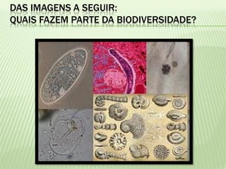 DAS IMAGENS A SEGUIR:
QUAIS FAZEM PARTE DA BIODIVERSIDADE?
 
