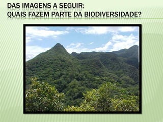 DAS IMAGENS A SEGUIR:
QUAIS FAZEM PARTE DA BIODIVERSIDADE?
 