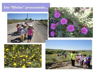 Em “filinha” procurando… 