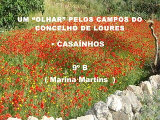 UM “OLHAR” PELOS CAMPOS DO CONCELHO DE LOURES CASAÍNHOS  9º B ( Marina Martins  ) 
