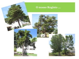 O nosso Registo … 