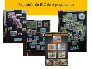 Exposição da BIO do Agrupamento 