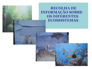 RECOLHA DE INFORMAÇÃO SOBRE  OS DIFERENTES  ECOSSISTEMAS   